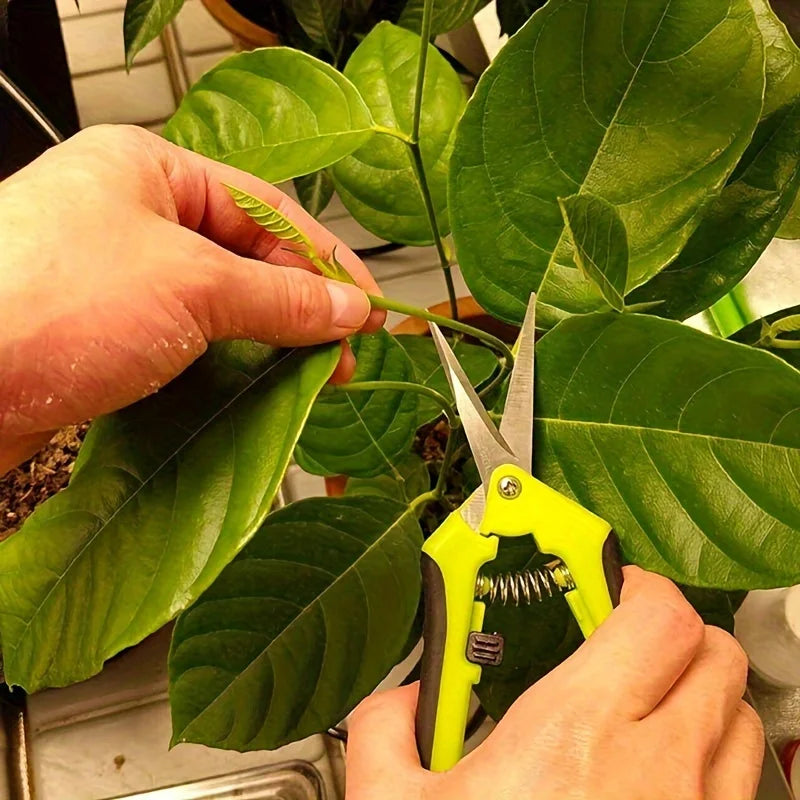 Garden Scissors - Planting Gardening Tools